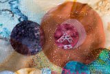 Detail Kandinsky : Kandinsky, Quilt, www.annette.