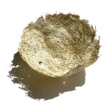 artichoke vessel 20230708-IMG 0979 : Silvia Turbiner, artichoke, paper making, protopaper