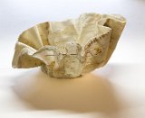 boro vessel 20230417-121728-9231-1 : CTC, OCA, boro, vessel