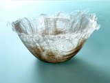 flax vessel waltnutink translucence 20230819-IMG 1825 : OCA, ctc, flax, vessel, walnut ink