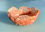 grapefruit vessel 20240223-IMG 5313 : bioplastic, grapefruit, oca fft