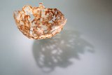 hf000  celery vessel