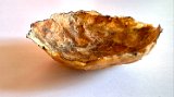 rust papertowel cap