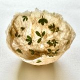 teabag dyersbroom vessel